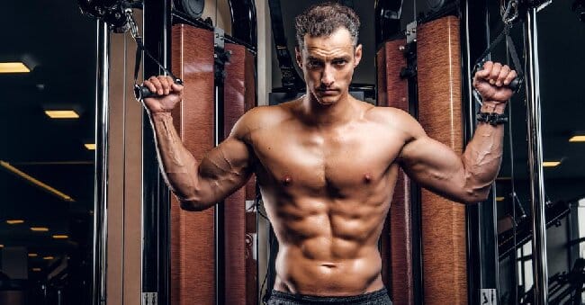 Plate-Loaded Chest Fly Machine